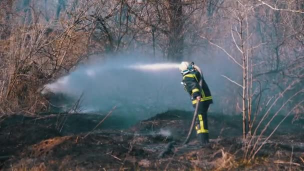 Bombero en Equipo Extinguir Incendio Forestal con Manguera de Incendio. Madera, Primavera de Europa — Vídeos de Stock
