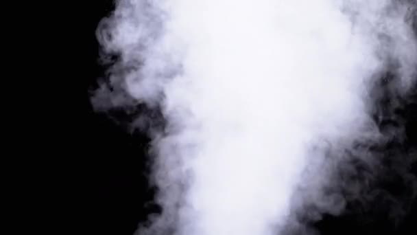 Waterdamp. White Jet of Vapour Steam op zwarte achtergrond. Langzame beweging — Stockvideo