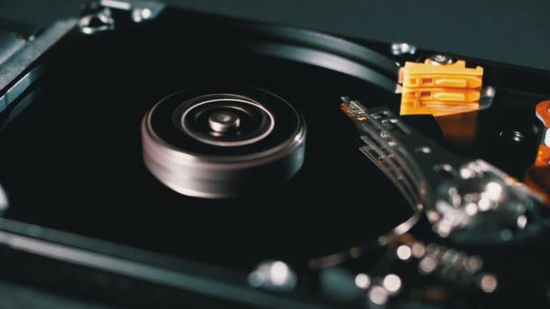 Hard Disk Drive Dentro. Struttura del disco rigido, piatto rotante. Spostare la testa magnetica — Video Stock