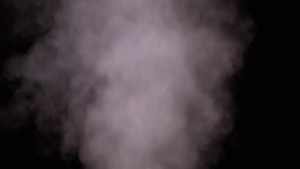 Waterdamp. White Jet of Vapour Steam op zwarte achtergrond. Langzame beweging — Stockvideo