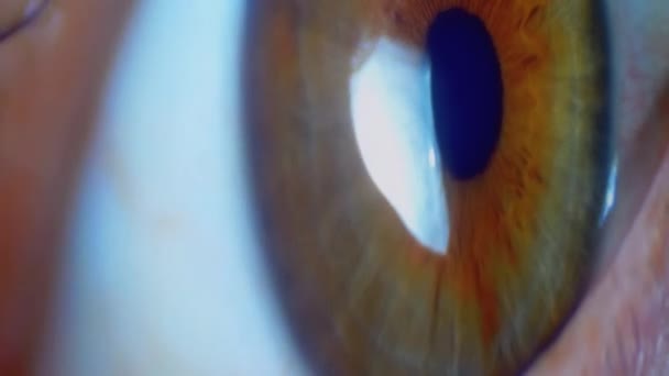Το ανθρώπινο μάτι στην οθόνη της τηλεόρασης Pixels κυματίζει με το χρώμα. Φαινόμενο εικονοστοιχείων οθόνης RGB. — Αρχείο Βίντεο