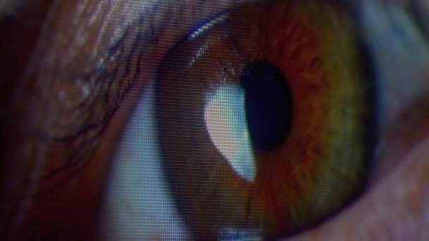Olho humano na tela da TV Pixels flutua com cor. Efeito de pixels de monitor RGB . — Vídeo de Stock