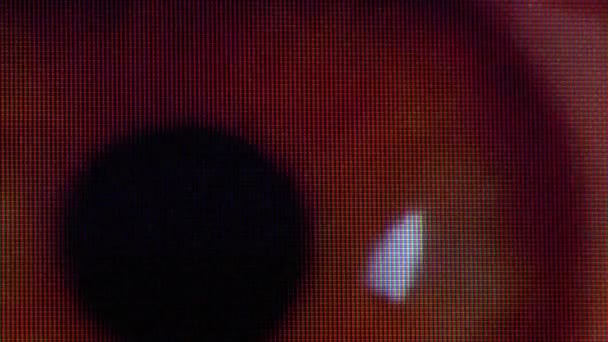 Το ανθρώπινο μάτι στην οθόνη της τηλεόρασης Pixels κυματίζει με το χρώμα. Φαινόμενο εικονοστοιχείων οθόνης RGB. — Αρχείο Βίντεο