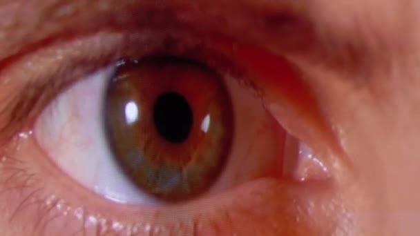 El ojo humano en los píxeles de la pantalla de TV fluctúa con el color. Efecto de píxeles de monitor RGB . — Vídeo de stock