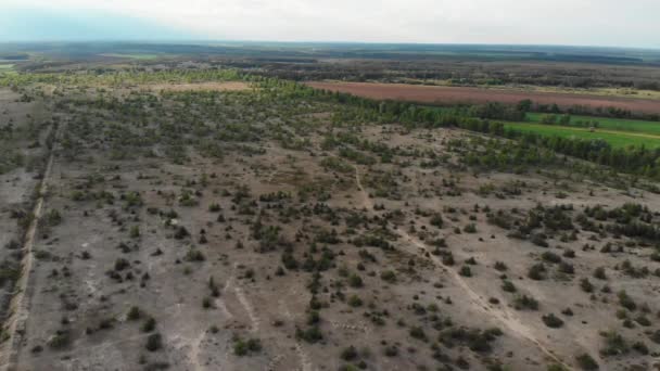 Flyger över ett fält med grön vegetation, träd, skog, buskar och jordbruksmark — Stockvideo