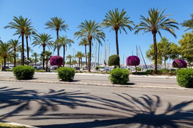 Quay in Palma de Mallorca.