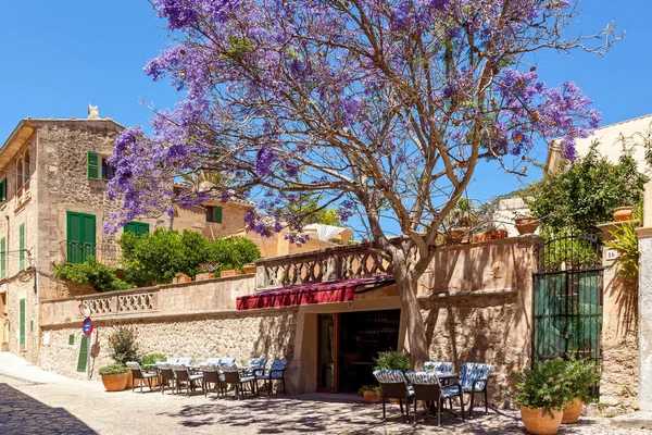 Street Café, Little Street Café en el casco antiguo de la ciudad con un árbol increíble Jacaranda por la entrada — Foto de Stock