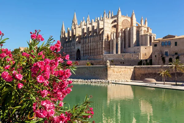 A Catedral de Santa Maria de Palma — Fotografia de Stock