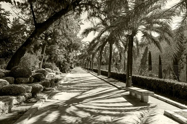 Allée dans le parc de Palma de Majorque — Photo