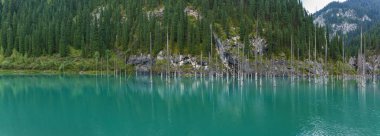 Lake Kaindy öldü ağaçlarında Panoraması