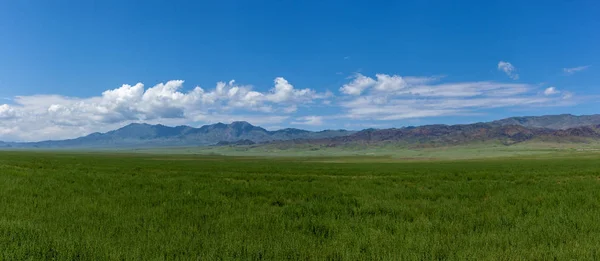 Steppe Kazakistan, Trans-Ili Alatau, plateau Assy — Foto Stock