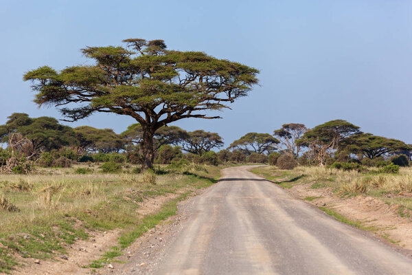 Landscapes of Kenya