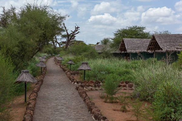 Serengeti Ulusal Park'ta bir çadır Kampı olduğunu