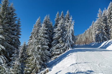 Bukovel beldesi Kayak dağlarda kış manzarası