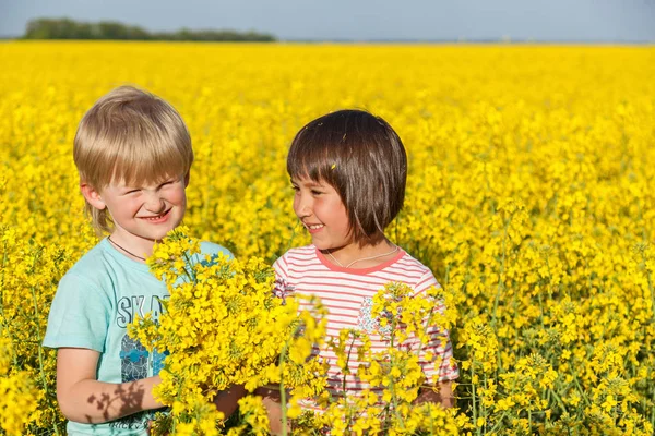 Діти в полі з квітучими жовтими квітами зґвалтування — стокове фото