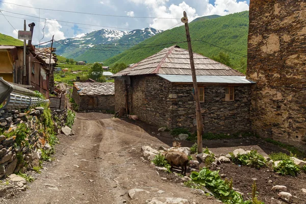 Straßen und Häuser im Dorf ushguli — Stockfoto