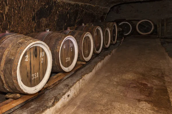 stock image An old wine cellar with oak barrels,barrels for wine in old cellars