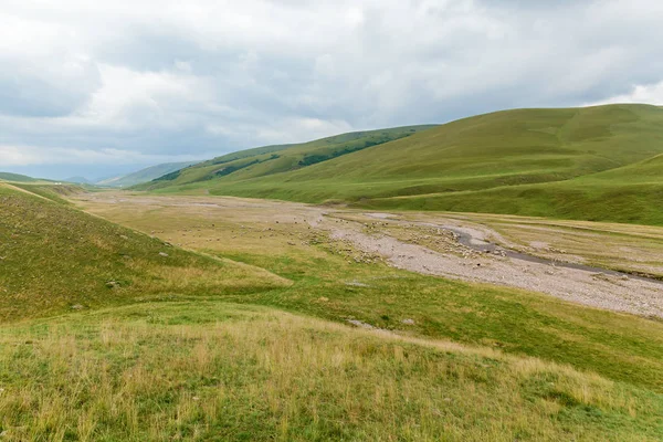 koyun yeşil çayır, tepede bir otlatma koyun sürüsü bir dağ nehir yatağı yakınındaki takma Kazakistan Yaylası yeşil tepelerde koyun otlatma.