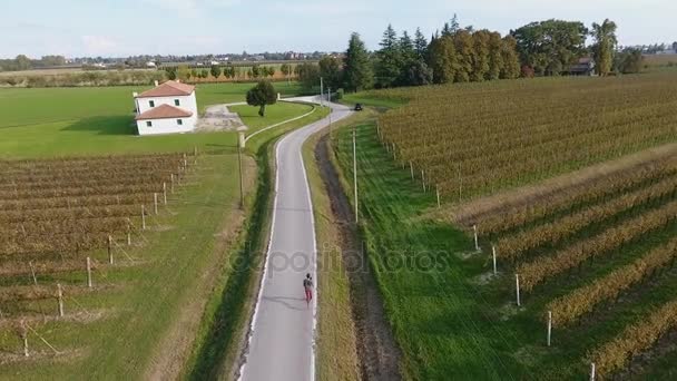 道路に沿って実行しています 上からの眺め 男はブドウ畑を捨て国の道を走って 周辺のイタリア旅行 — ストック動画
