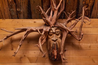 Ahşap ahşap arka plan üzerinde kökleri suratla