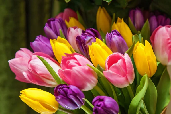 Tulipanes Violeta Amarillo Rosa Sobre Fondo Verde Oscuro Ramo Tulipanes —  Fotos de Stock