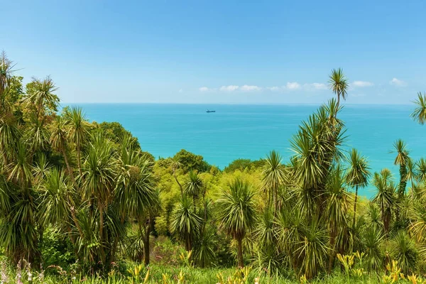 Batum Bay, Botanik Bahçesi, Karadeniz, palmiye ağaçları görünümden. Gürcistan Batum Bay.journey
