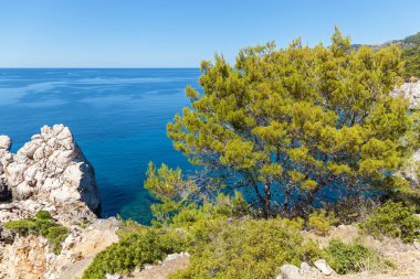 Palma de Mallorca denizde