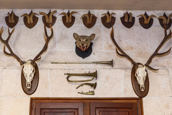 The heads of the animals on the wall, above the doors. Animal heads on the wall.