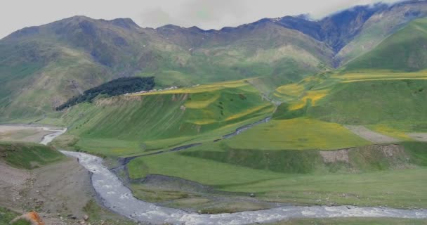 Rivière Montagne Collines Verdoyantes Avec Des Fleurs Jaunes Sous Montagne — Video