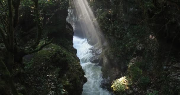 Hangi Işık Işınları Doğmak Ormandaki Nehir Dağ Dağ River Journey — Stok video