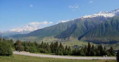 Ağaçlar dağ yolunda. Yeşil dağlar karlı zirveleri ile.