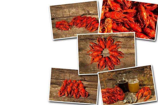 Collage boiled cancer and beer on a wooden background — Stock Photo, Image