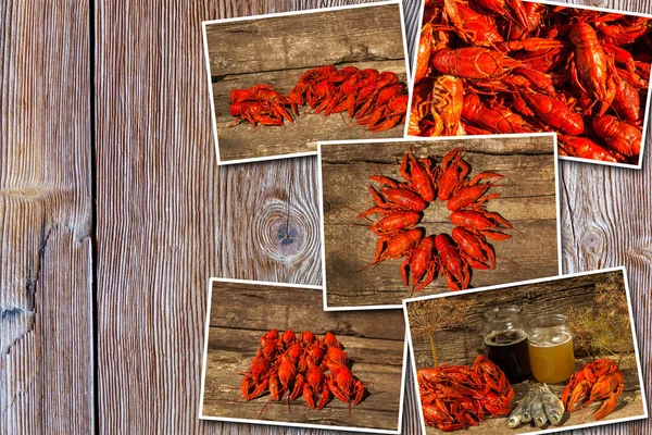 Collage boiled cancer and beer on a wooden background — Stock Photo, Image