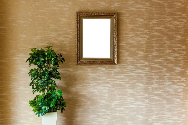 Intérieur minimaliste de la maison avec un miroir carré et une grande plante — Photo