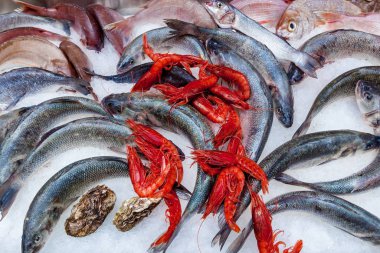 Pazardaki buzda taze deniz ürünleri.