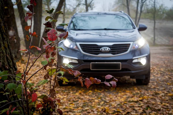 Kia Sportage 2019 fica na beira da estrada — Fotografia de Stock