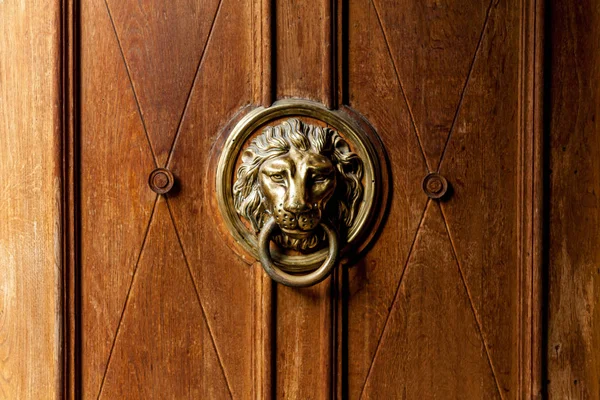 Een oude houten deur versierd met een leeuwenkop — Stockfoto