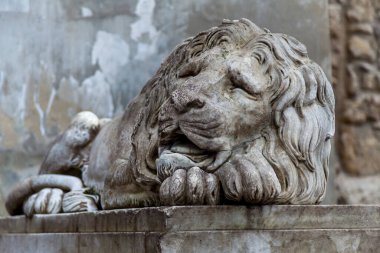 Aslan heykeli.