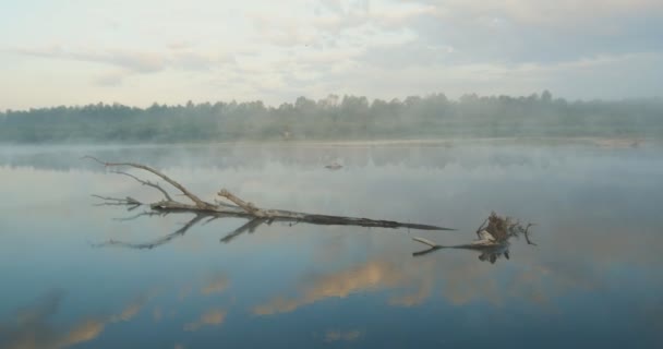 多雾的美丽风景 雾气笼罩在平静的早上水面上 清晨和日出时的乌克兰景观 — 图库视频影像