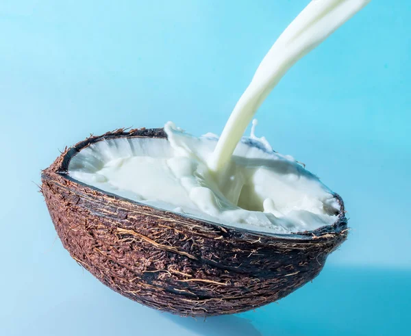 Coconut with milk splash on a blue background, splashing milk in coconut