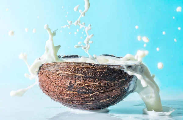 Coconut with milk splash on a blue background, splashing milk in coconut