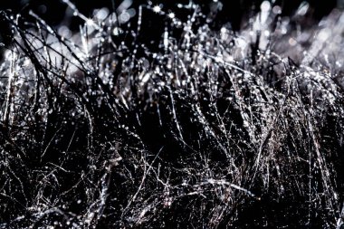 Kürk üzerinde güneş parlamayı siyah yakın çekim makro su damlaları