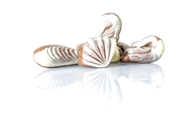 Chocolate doce na forma de conchas marinhas na mesa branca com reflexão isolada no fundo branco — Fotografia de Stock