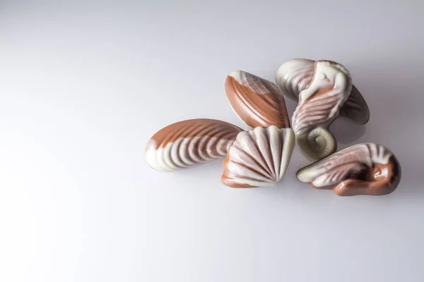 Шоколадні цукерки у вигляді морських мушль на білому столі з відображенням — стокове фото