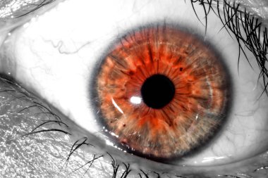 Sürpriz ve korku makro yakın çekim doku arka plan ifade insan gözü