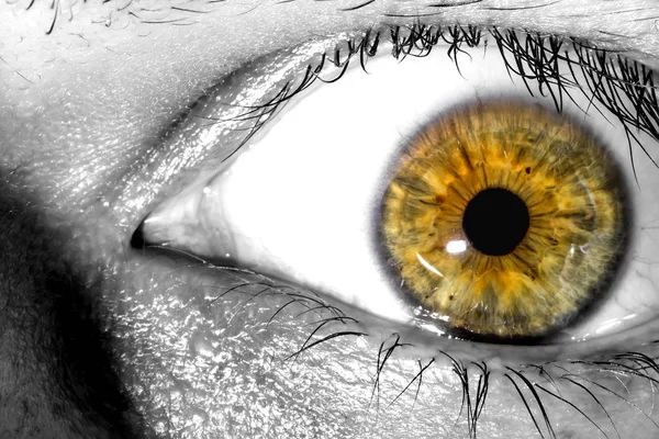 Sürpriz ve korku makro yakın çekim doku arka plan ifade insan gözü