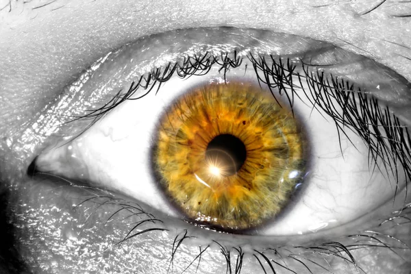 Öğrenci makro yakın çekim doku arka plan yakınındaki bir güneş ışığı ile insan gözü