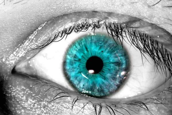 Azul olho humano macro close-up textura fundo — Fotografia de Stock
