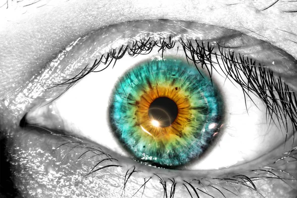 Œil humain coloré avec une lumière du soleil près de la pupille macro texture gros plan sur fond blanc — Photo