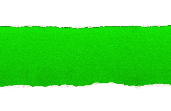 White paper with torn edges isolated with a bright green color paper background inside. Good paper texture — Stock Photo, Image